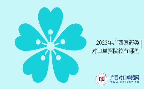 2023年广西医药类对口单招院校