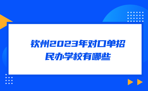 钦州2023年对口单招民办学校有哪些