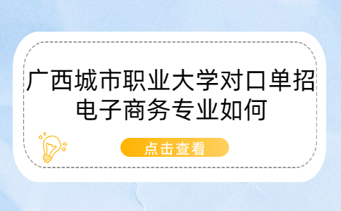 广西城市职业大学对口单招电子商务专业