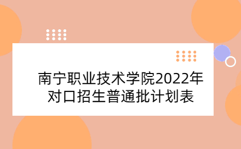 南宁职业技术学院2022年对口招生普通批计划