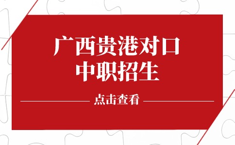 2024年广西贵港对口中职招生录取查询