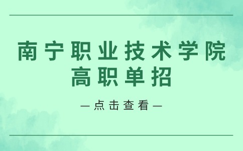 2024年南宁职业技术学院高职单独招生录取最低控制线