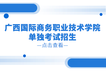 广西国际商务职业技术学院2024年高等职业院校单独考试招生简章