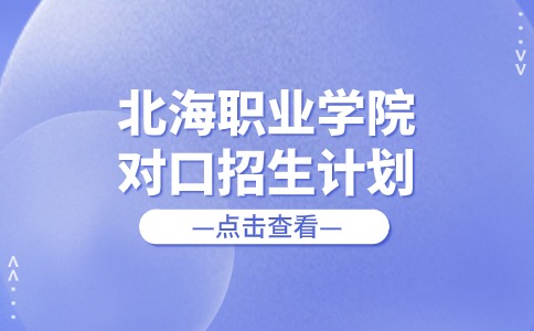 2024年北海职业学院对口招生计划