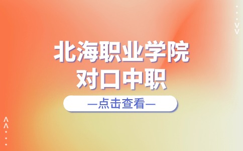 北海职业学院2024年高职对口中职录取查询指南