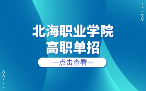 2024年北海职业学院高职单招录取查询指南