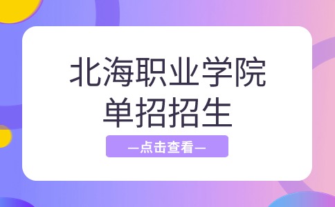 北海职业学院2024年单招招生计划