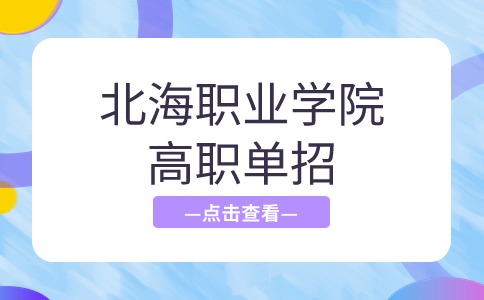 北海职业学院2024年高职单招录取查询指南