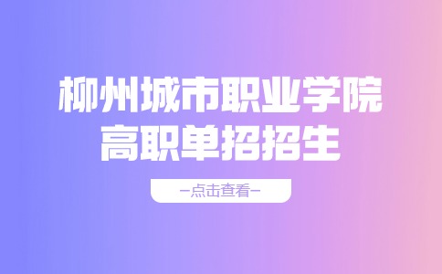 柳州城市职业学院高职单招招生